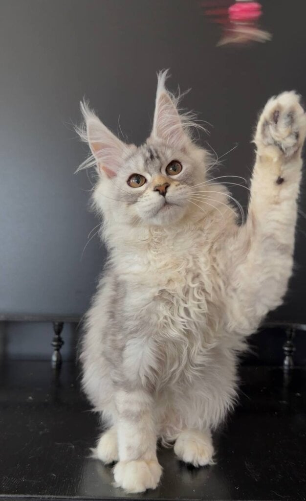 Photo 2026 03 24 21 22 27