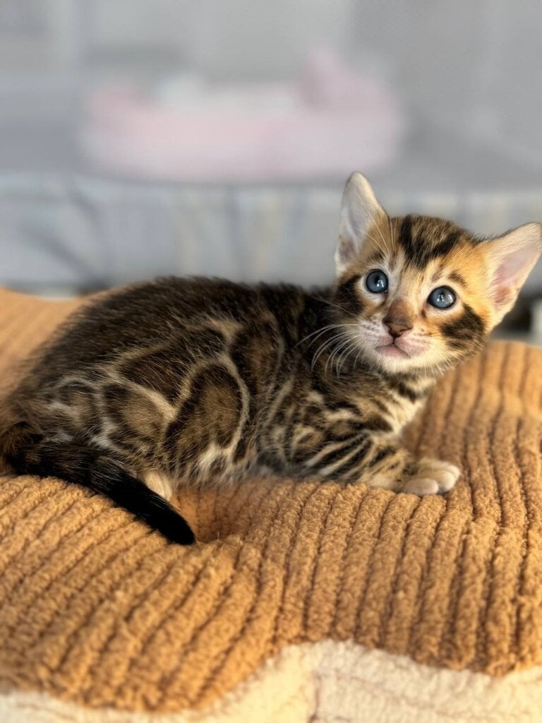 Photo 2026 03 24 21 30 02