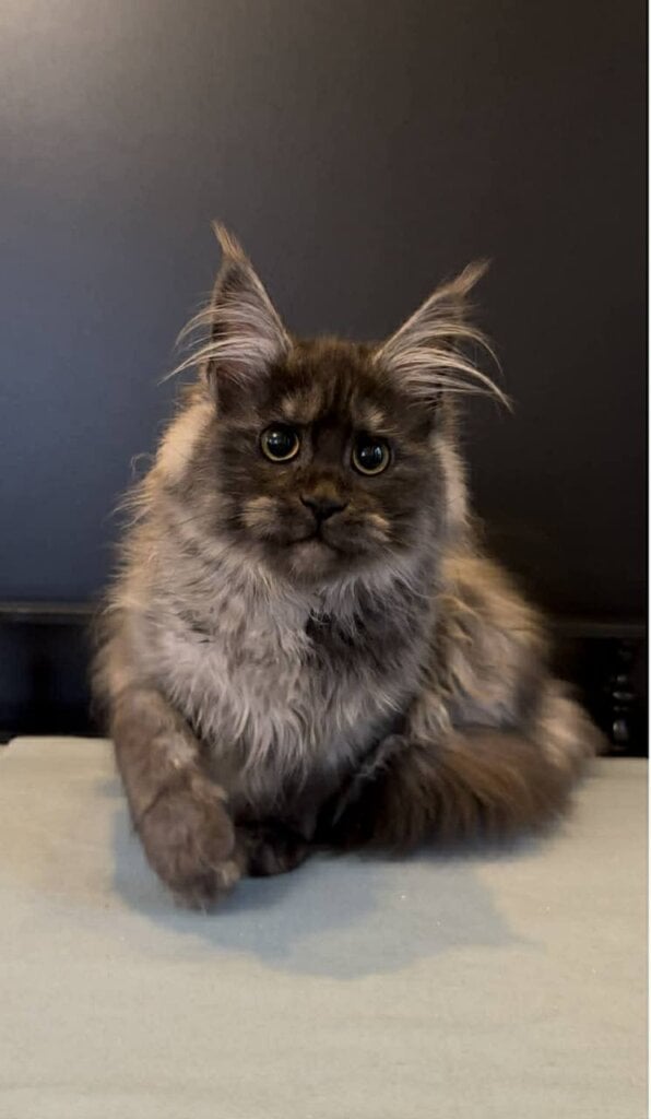 Photo 2026 03 24 21 33 01