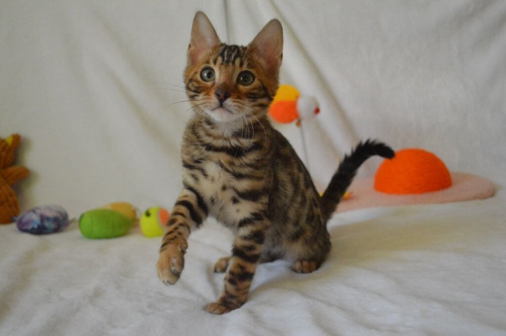 Photo 2026 03 24 22 16 59