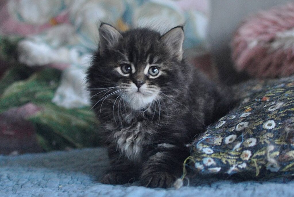 Photo 2026 03 25 19 13 41