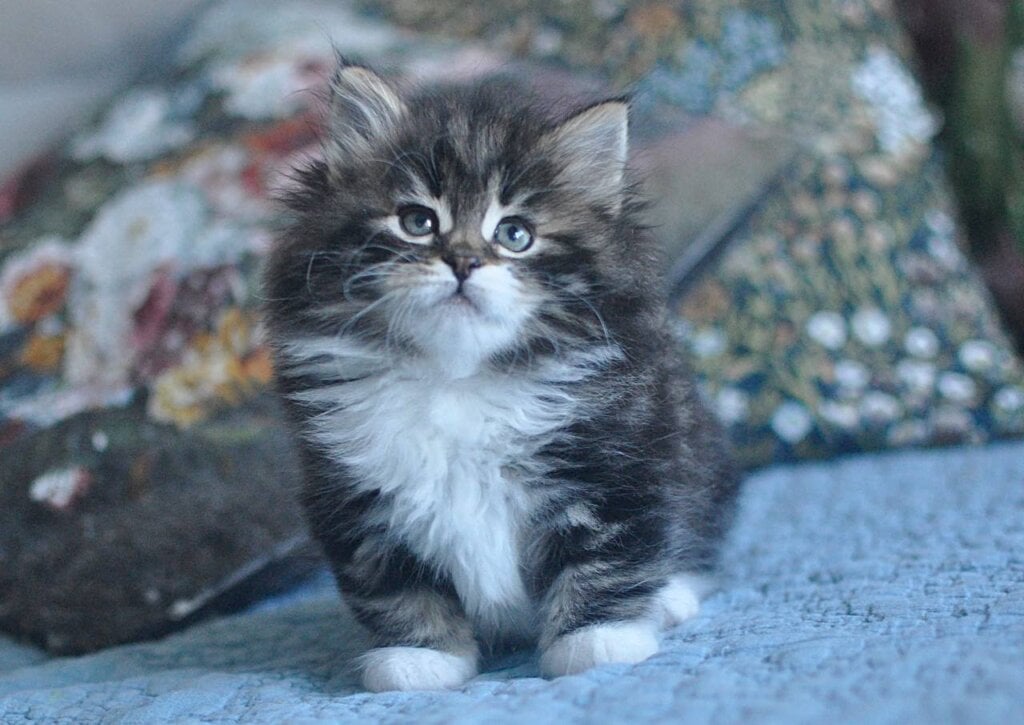 Photo 2026 03 25 19 16 25