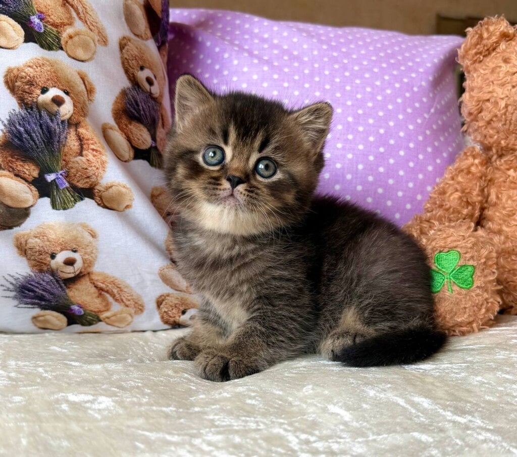 Photo 2026 03 26 14 54 09 3