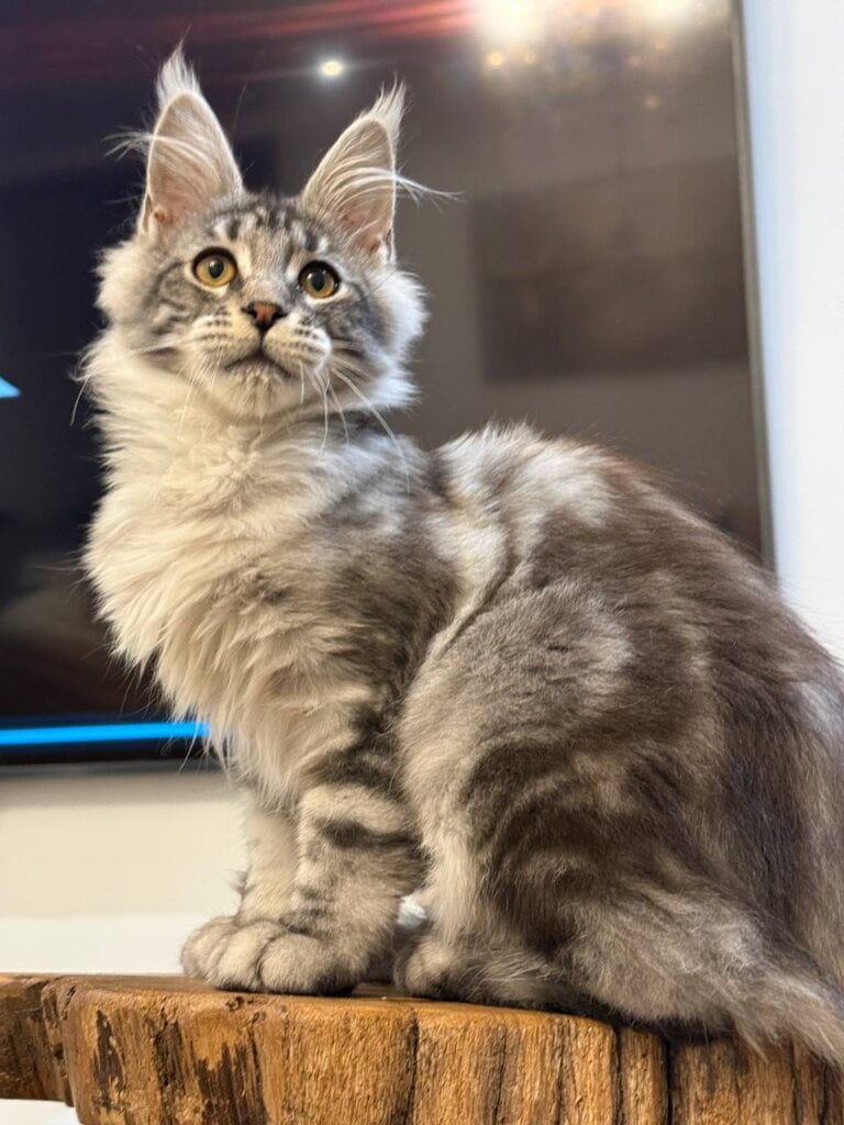 Photo 2026 03 26 19 14 12 2