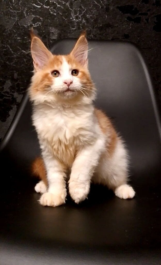 Photo 2026 03 26 22 11 47