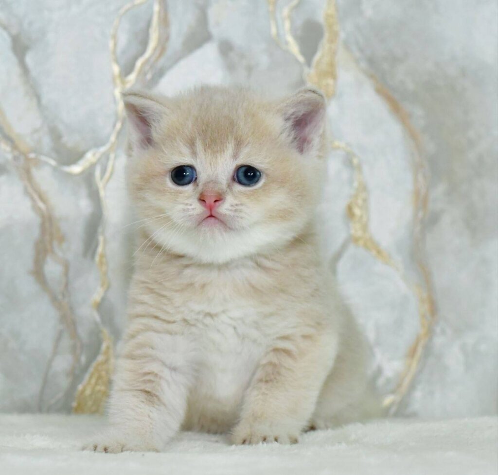 Photo 2026 03 27 12 45 43