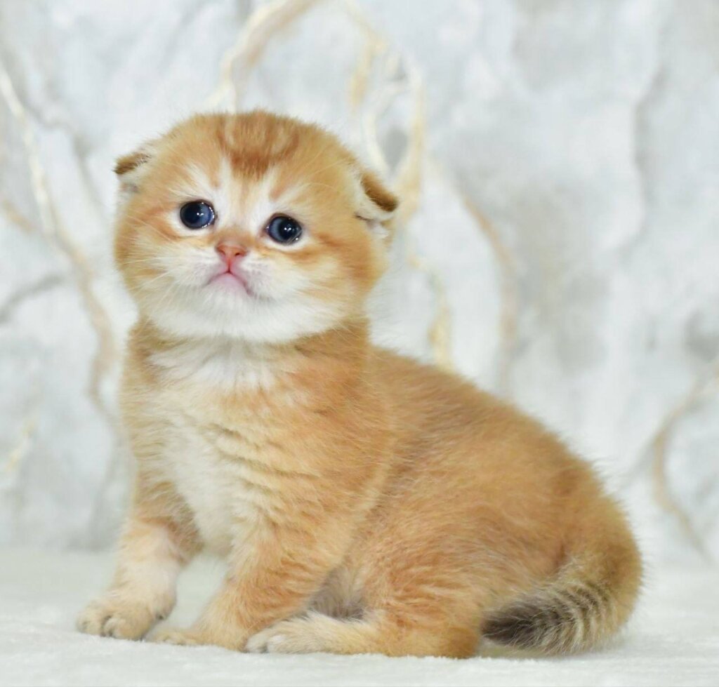 Photo 2026 03 27 14 34 05