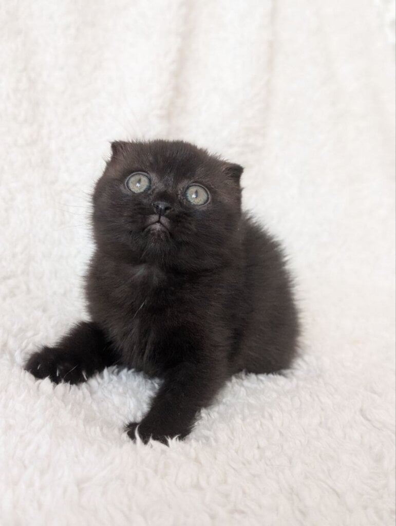 Photo 2026 03 27 16 44 03