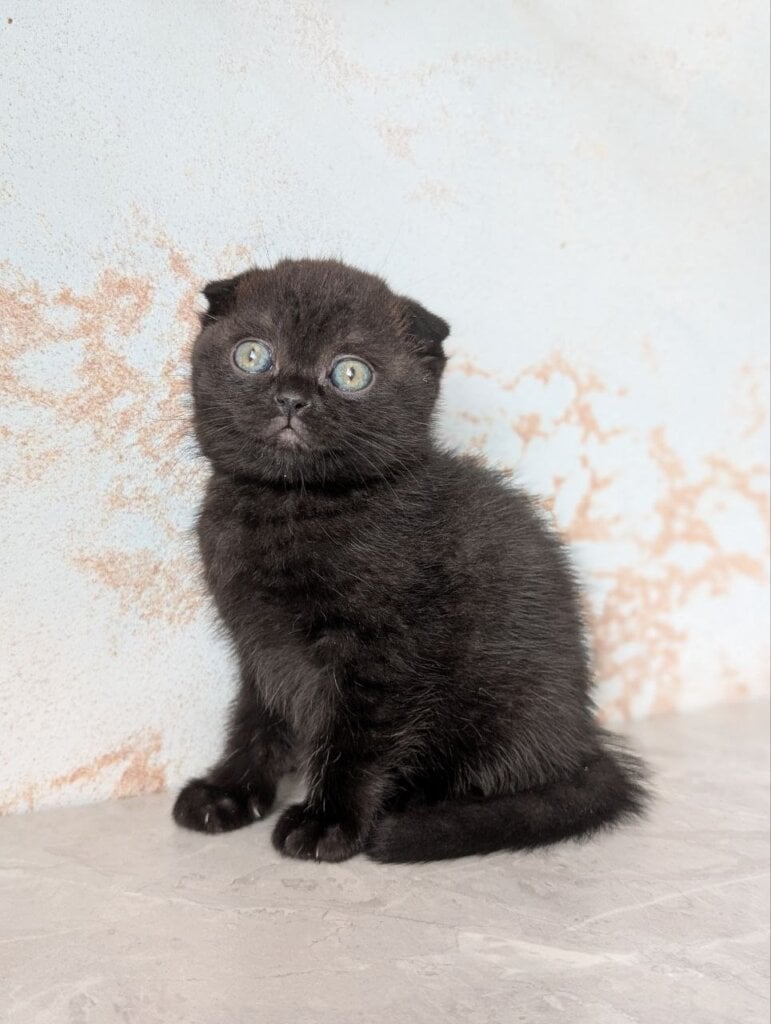 Photo 2026 03 27 16 45 06 2