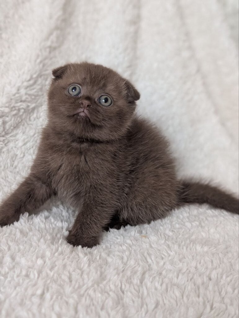 Photo 2026 03 27 16 47 53