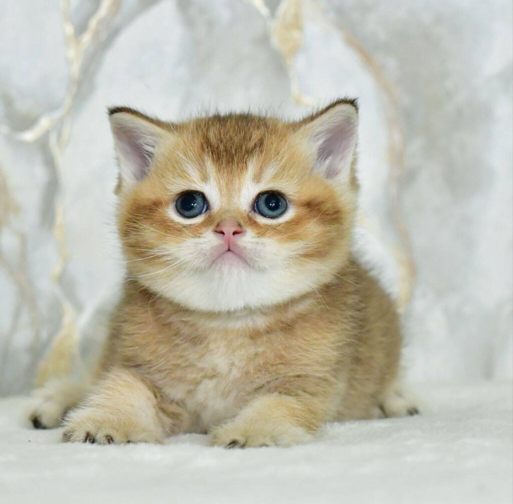 Photo 2026 03 27 17 54 45