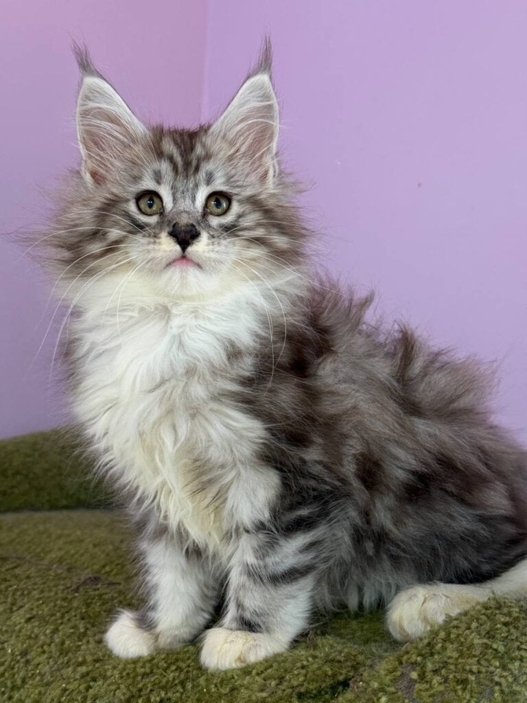 Photo 2026 03 27 21 19 47