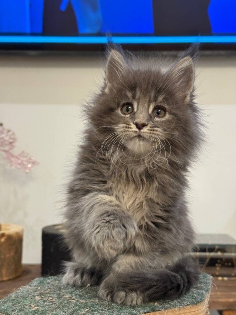 Photo 2026 03 27 21 21 42