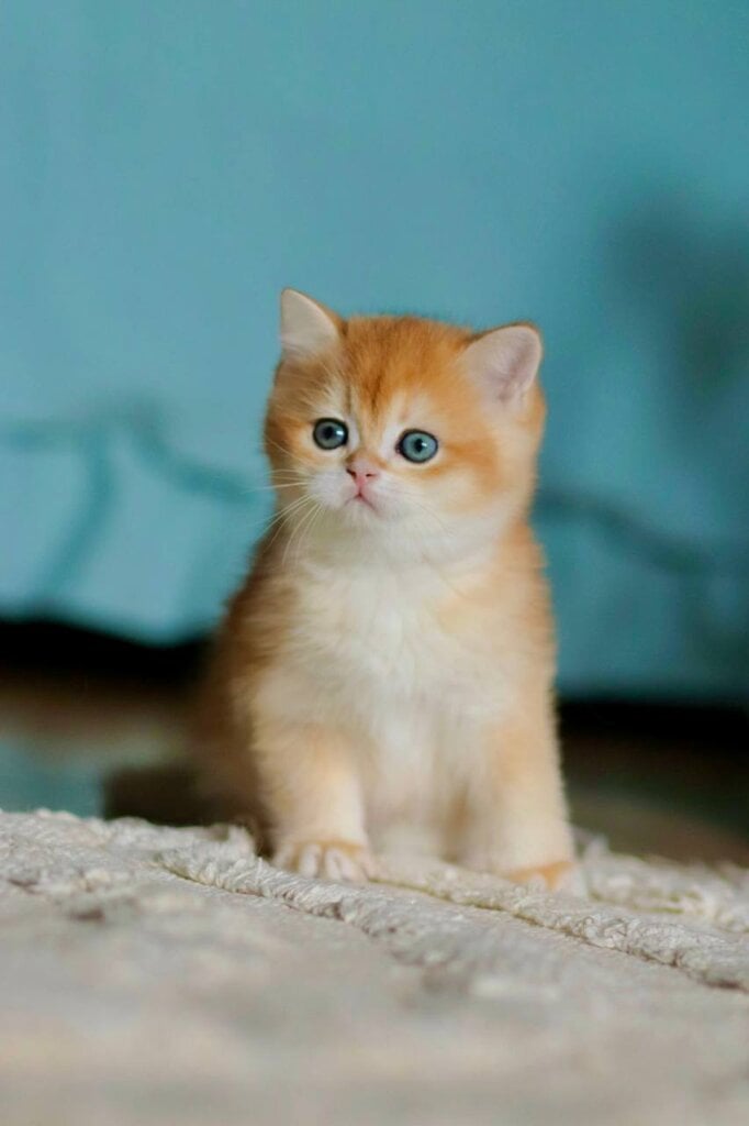 Photo 2026 03 27 23 56 28