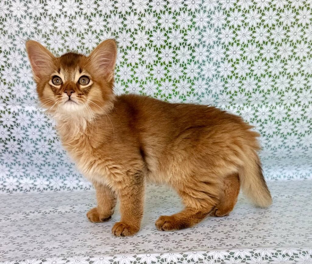 Photo 2026 03 28 09 28 03