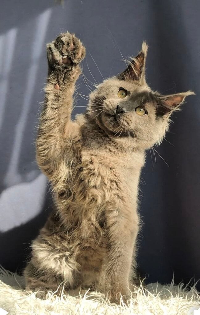 Photo 2026 03 28 14 36 44 2