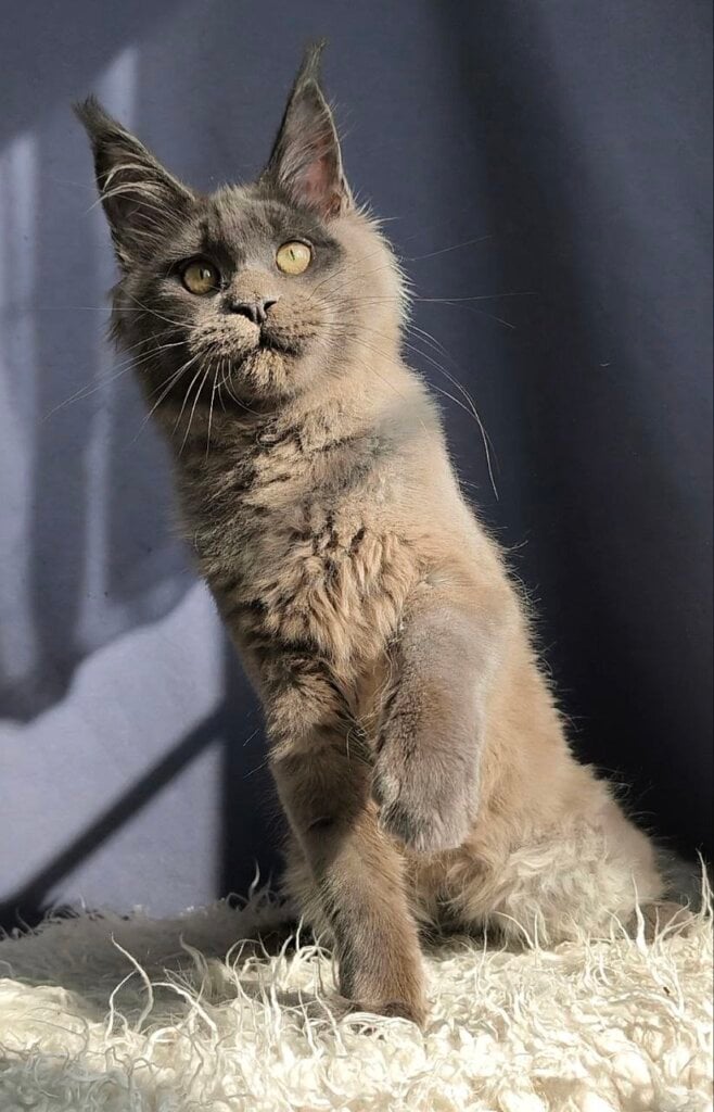 Photo 2026 03 28 14 36 45