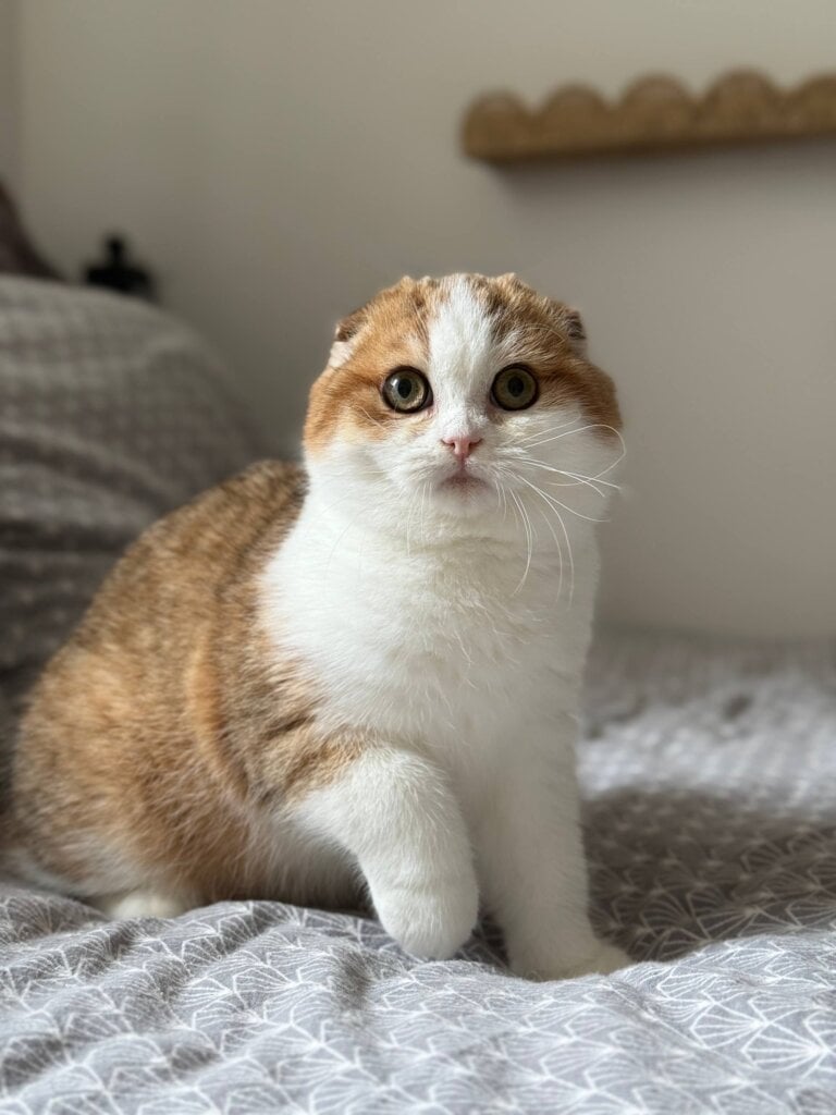 Photo 2026 03 29 14 30 12