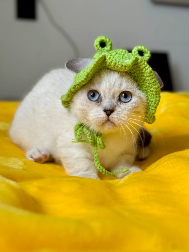 Photo 2026 03 29 16 30 59