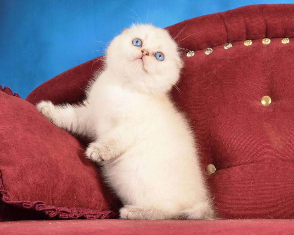 Photo 2026 03 29 23 28 05