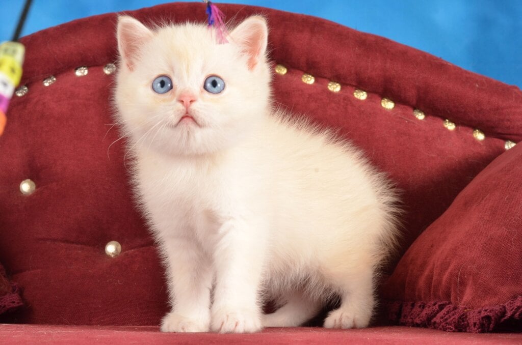 Photo 2026 03 29 23 31 17