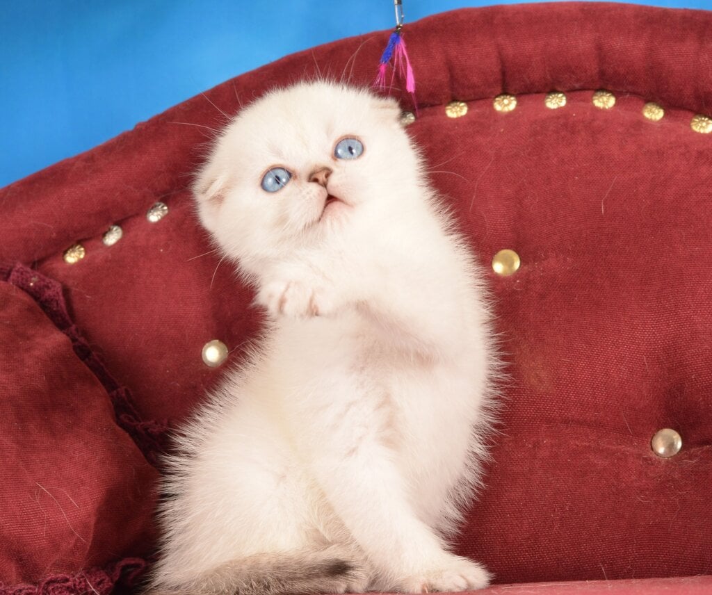 Photo 2026 03 29 23 35 15 3