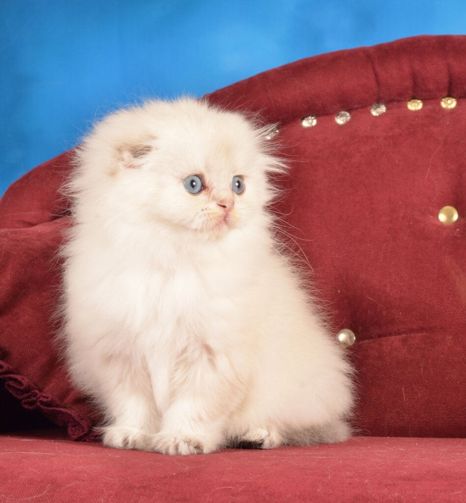 Photo 2026 03 29 23 36 57 2