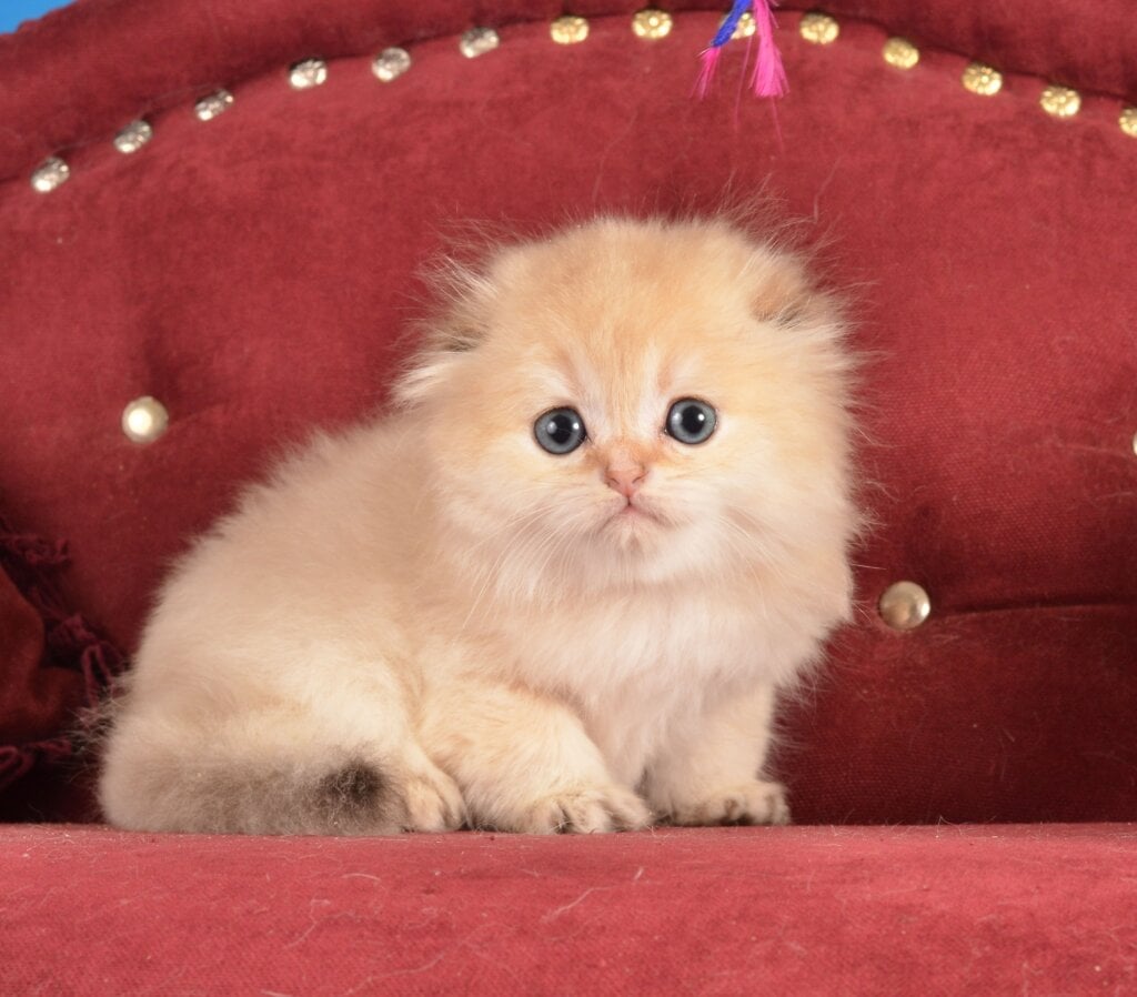 Photo 2026 03 29 23 38 05