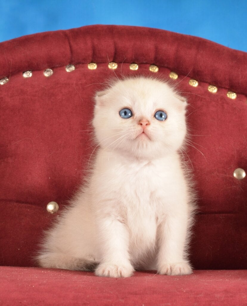 Photo 2026 03 29 23 40 15 2