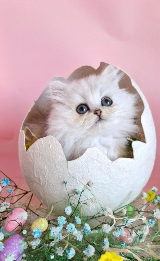 Photo 2026 03 30 09 54 07