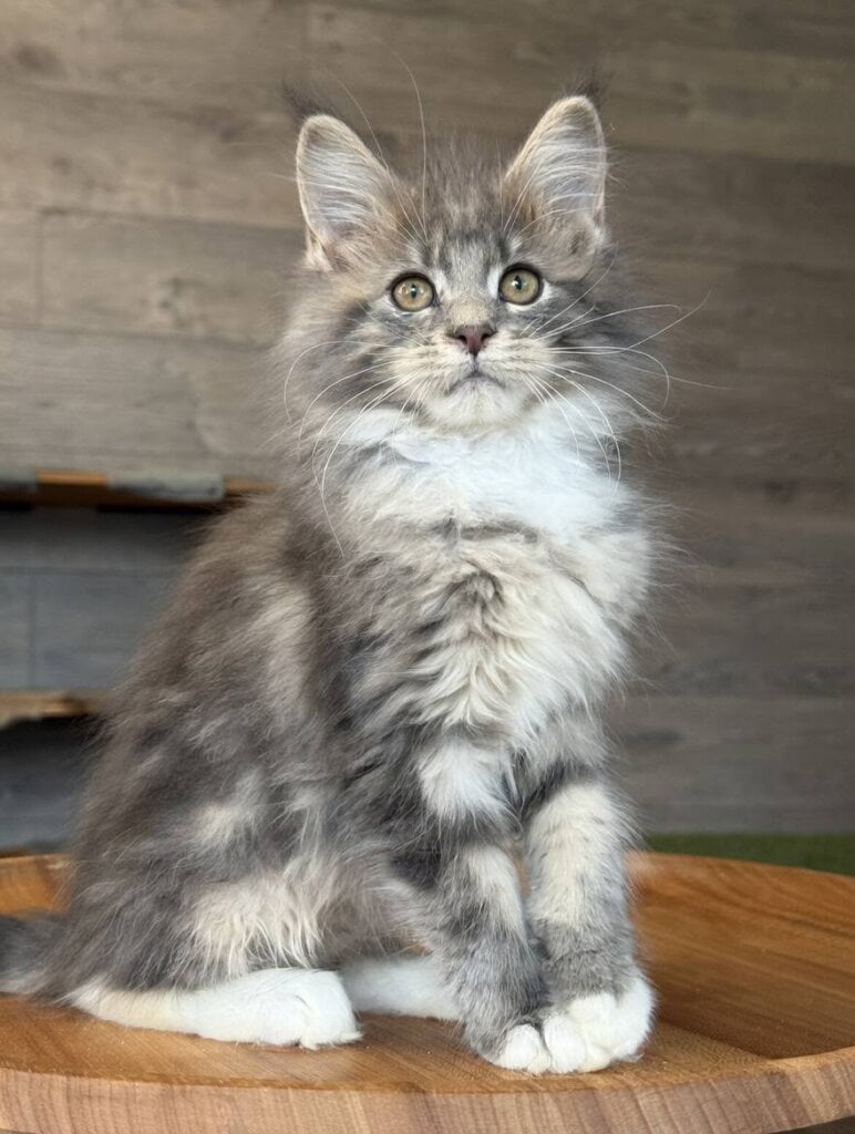 Photo 2026 03 30 18 02 34 2