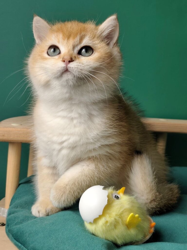 Photo 2026 04 01 17 11 16