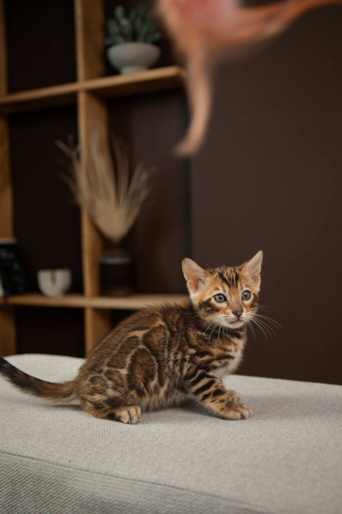 Photo 2026 04 05 22 51 07 2