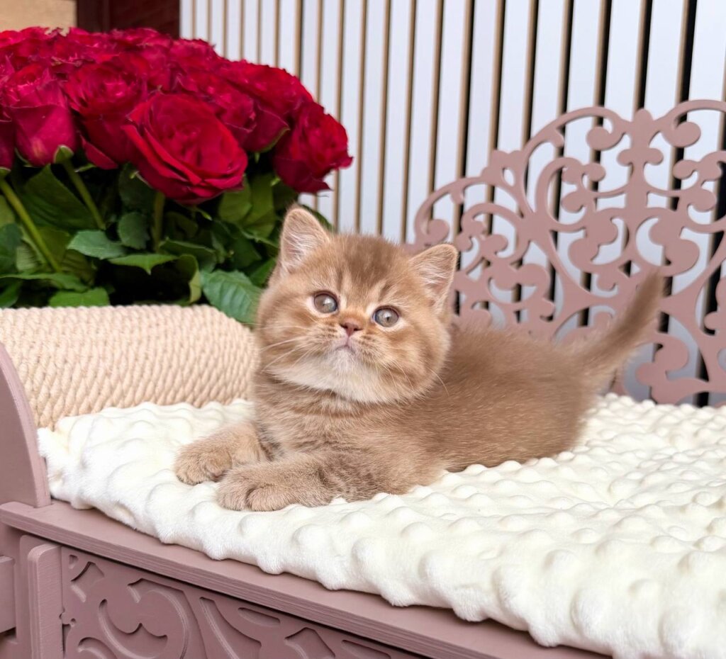 Photo 2026 04 07 14 26 52