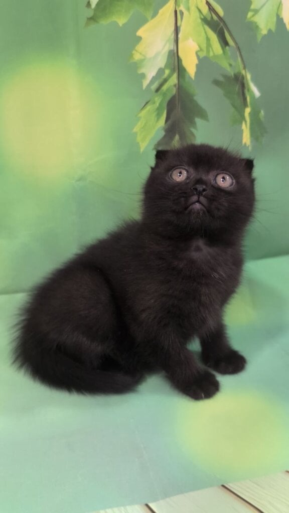 Photo 2026 04 07 14 51 58