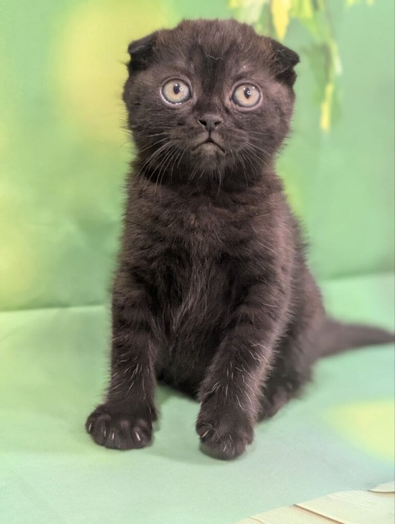 Photo 2026 04 07 14 52 18 2