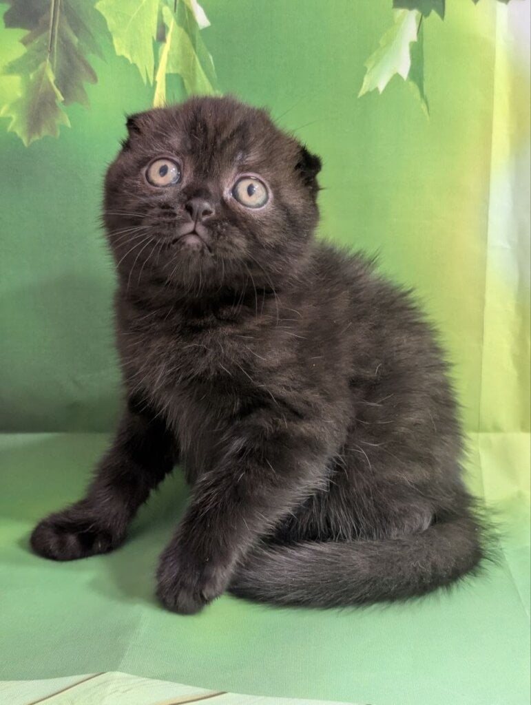 Photo 2026 04 07 14 52 36