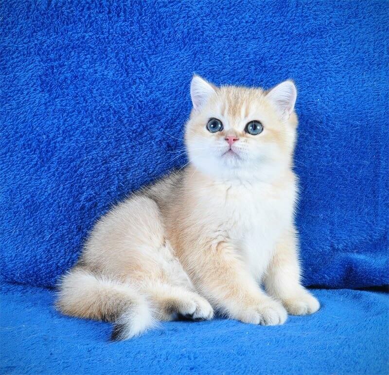 Photo 2026 04 08 11 34 19