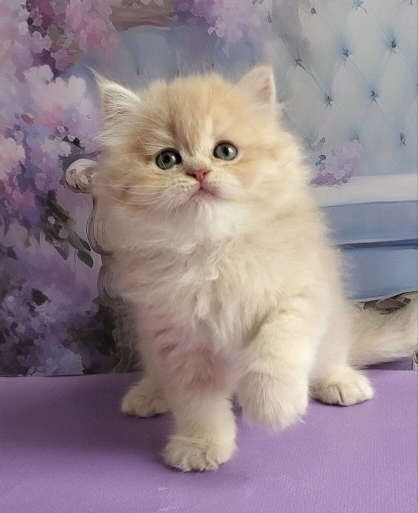 Photo 2026 04 10 16 11 41