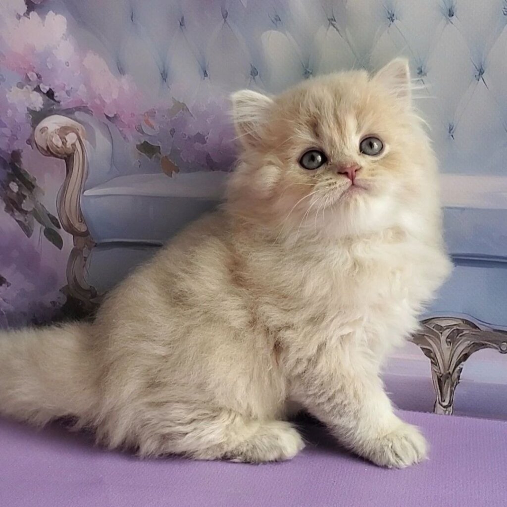 Photo 2026 04 10 16 13 21