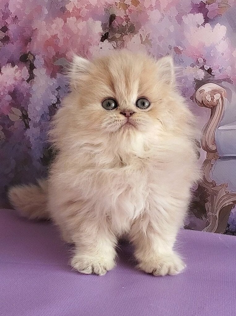 Photo 2026 04 10 16 15 23