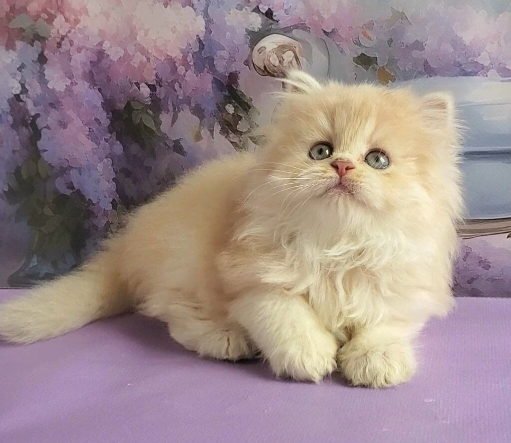 Photo 2026 04 10 16 17 30