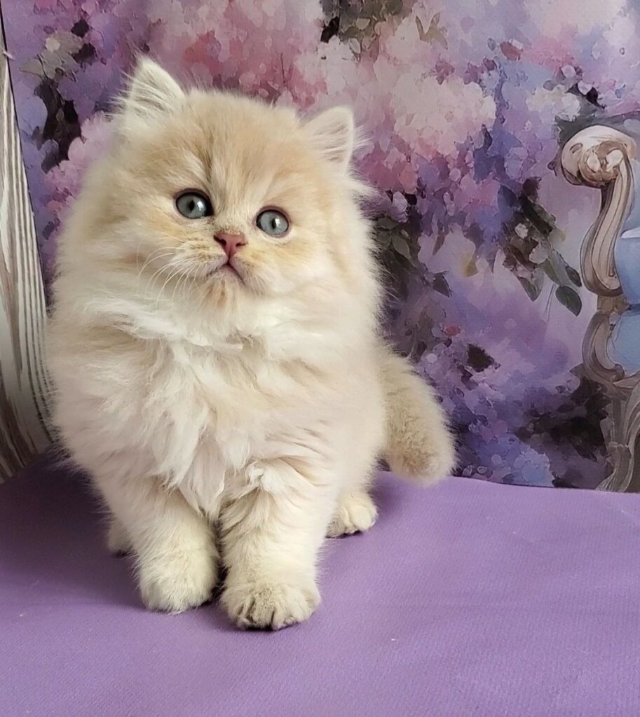 Photo 2026 04 10 16 20 45