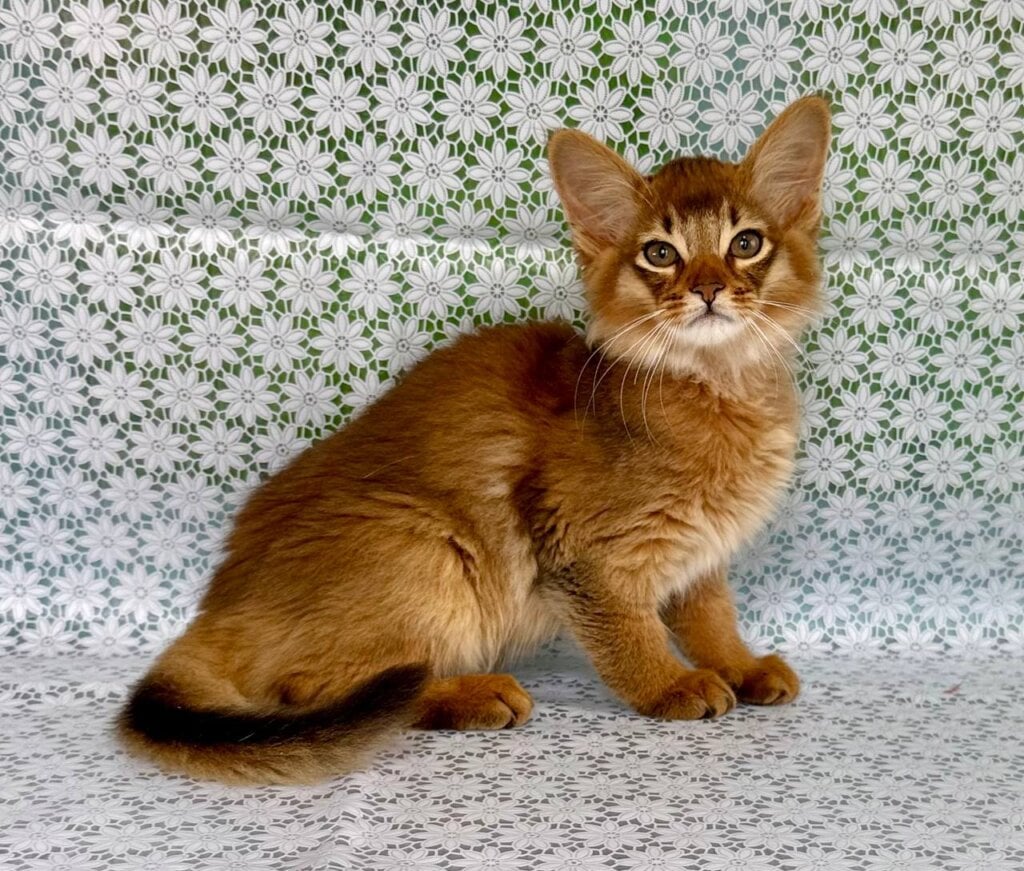 Photo 2026 04 12 09 34 10