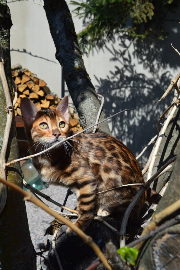 Img 20260415 153025 730