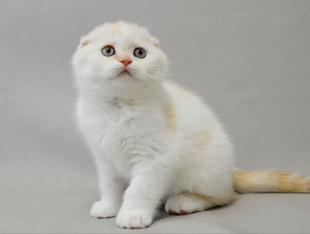 Photo 2026 01 25 18 14 42