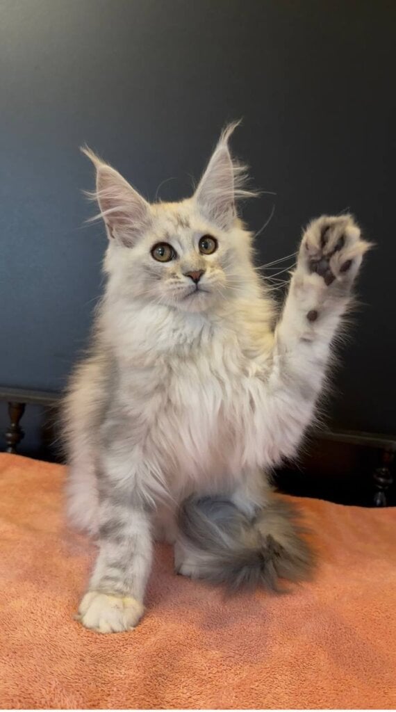 Photo 2026 03 24 16 49 35 2