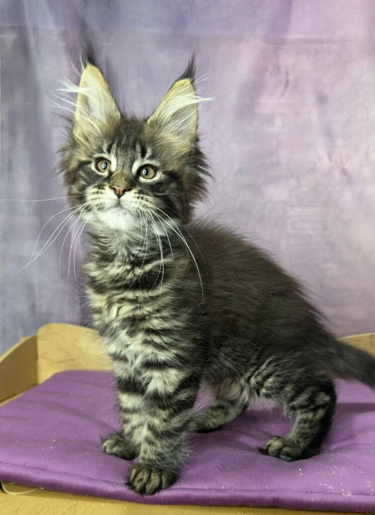 Photo 2026 03 26 21 02 33