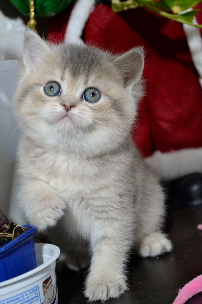 Photo 2026 03 28 20 32 49