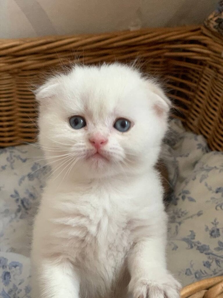 Photo 2026 03 31 14 50 08